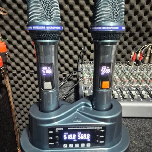 [BUNJANG] 2-Channel Rechargeable Wireless Microphone (New) / 2ch 충전식 무선마이크 (새것)