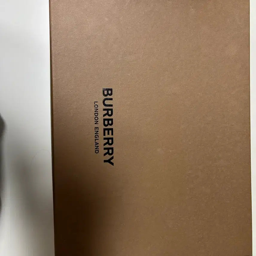 [BUNJANG] Burberry Sneakers / 버버리 스니커즈
