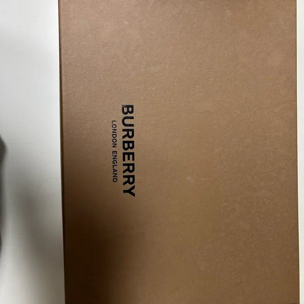 [BUNJANG] Burberry Sneakers / 버버리 스니커즈