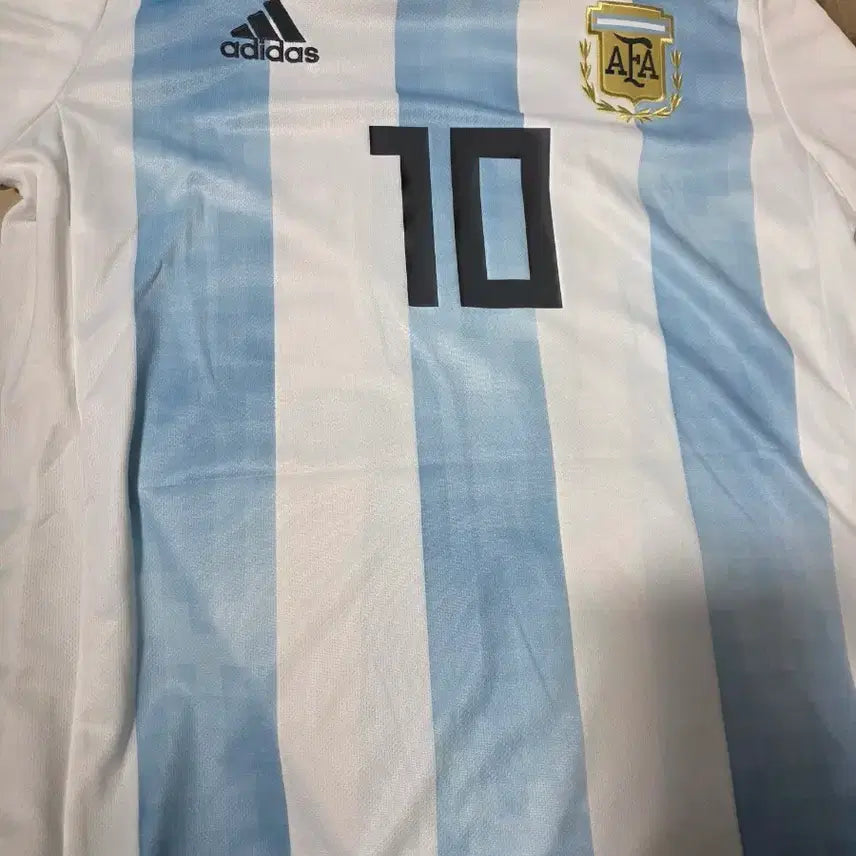 [BUNJANG] Argentina Messi National Team Jersey L / 아르헨티나 메시 국대 유니폼 L
