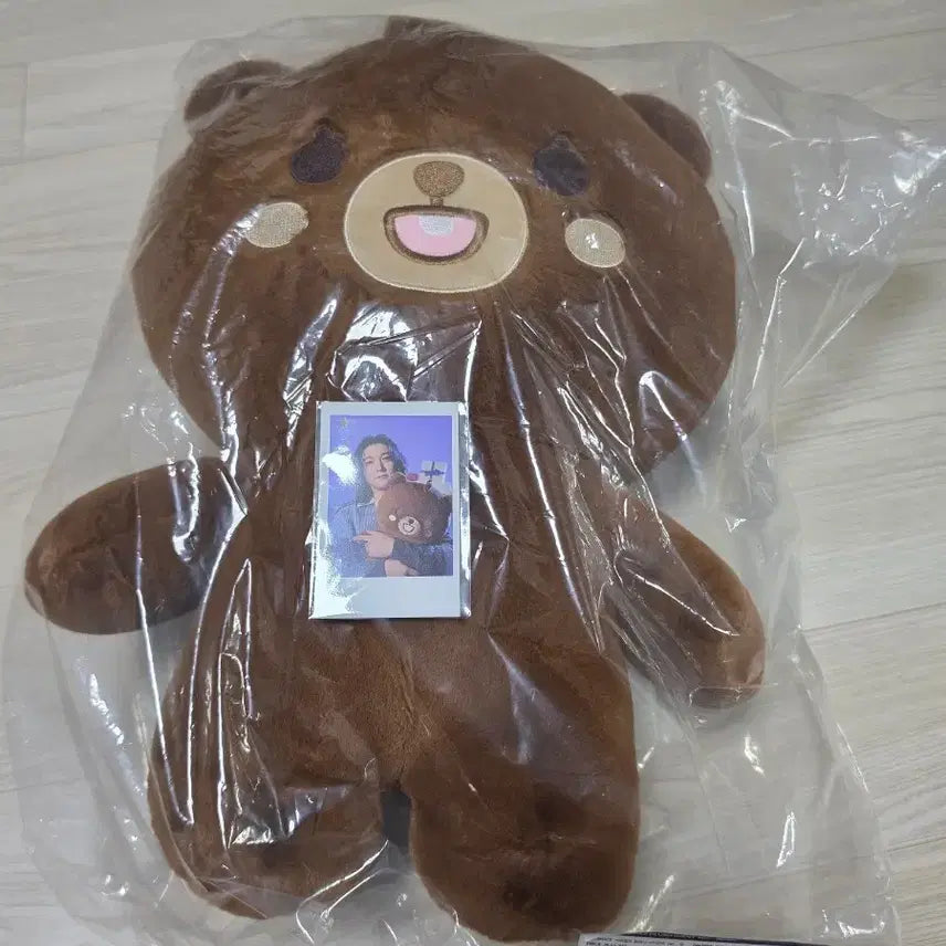 [BUNJANG] Day6 Giant Petit Merls Bang Photocard / Day6 자이언트 쁘띠멀즈 방이 판매합니다