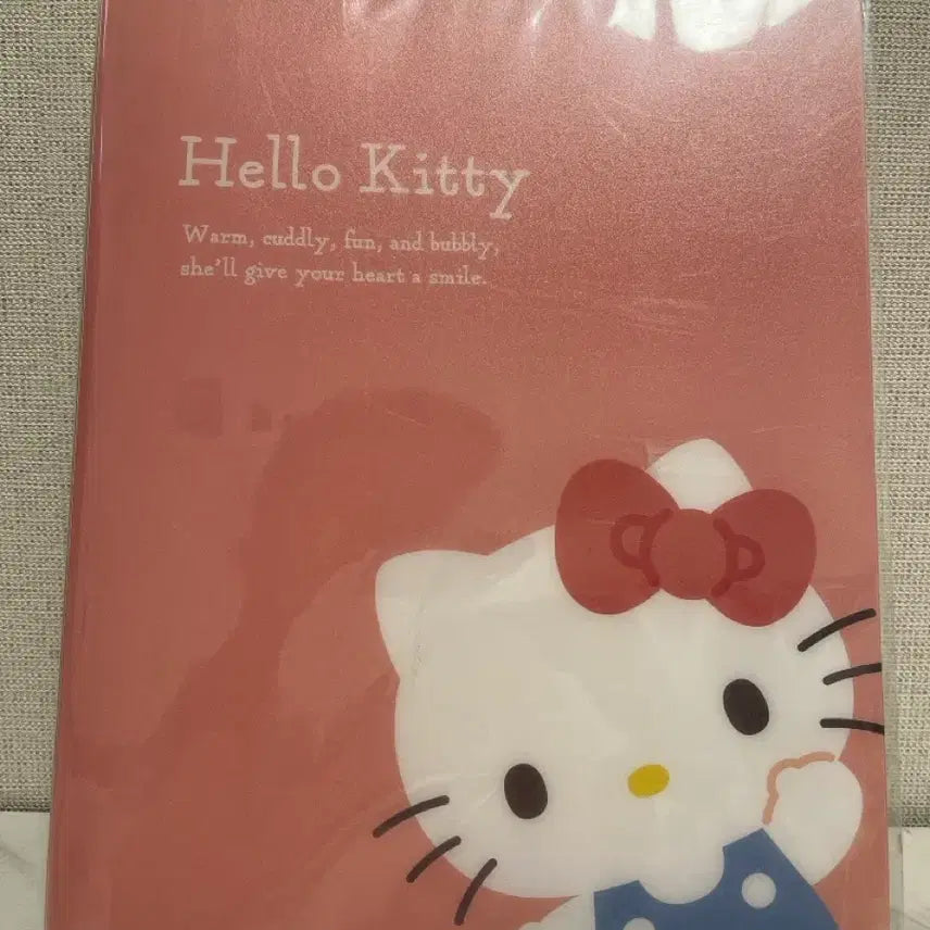 [BUNJANG] Sanrio Hello Kitty Spring File Spring Notebook (Sealed) / [미개봉] 산리오 헬로키티 스프링 파일 스프링 노트