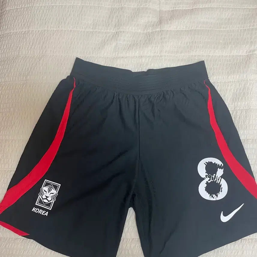 [BUNJANG] Nike Korean National Team Shorts (ADV) / 나이키 국대 반바지 adv