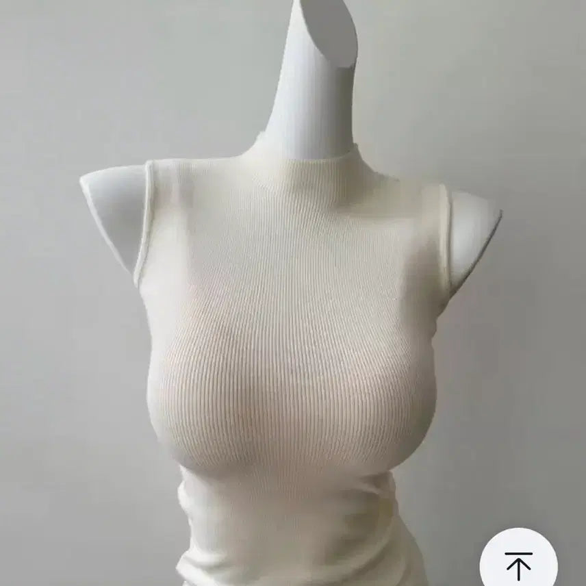 [BUNJANG] Ribbed Sleeveless Turtleneck (3 Colors) / 골지 민소매 터틀넥 3컬러