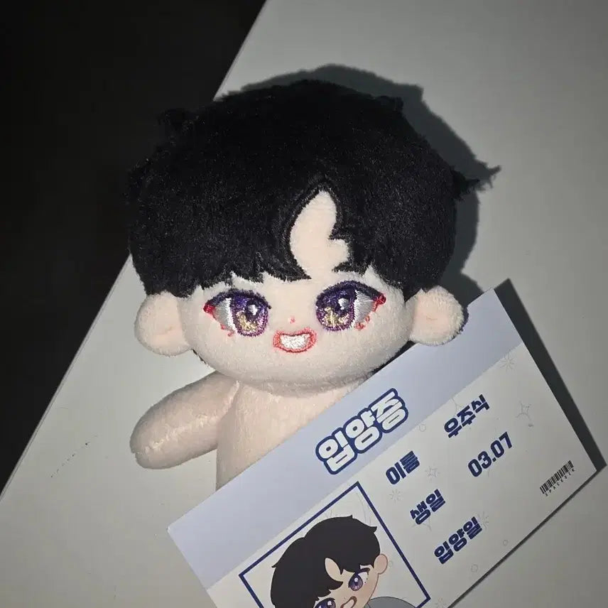 [BUNJANG] BTOB Lim Hyunsik 'Woojoosik' Doll / 비투비 임현식 인형 우주식