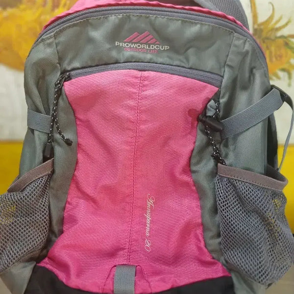 [BUNJANG] Pro World Cup 20L Backpack (Pink/Gray) / 프로월드컵 배낭 핑크/그레이 20L
