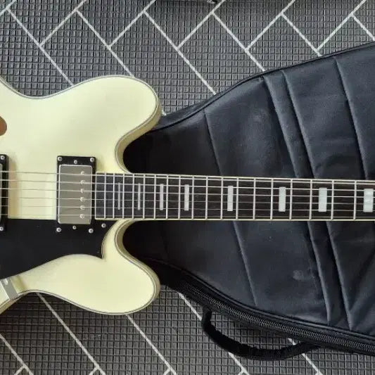 [BUNJANG] Huxs Sammy Hollow Electric Guitar Q-300 / 헥스 새미할로우 일렉기타
