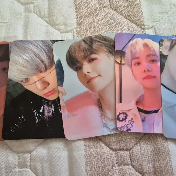[BUNJANG] Baekhyun Bundle Set Photocard / 백현 포카 5종 일괄