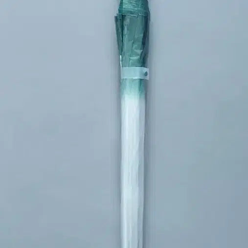 [BUNJANG] Starbucks Transparent Umbrella Green / 스타벅스 투명 우산 그린