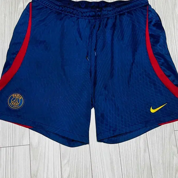[BUNJANG] Nike PSG Paris Saint-Germain Training Shorts / 나이키 PSG 파리 생제르맹 트레이닝 쇼츠 축구 반바지