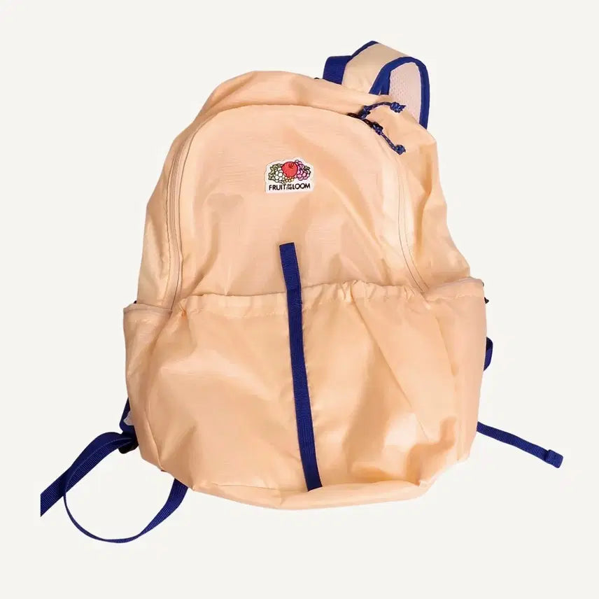 [BUNJANG] Fruit of the Loom Fruity Packable Solid Backpack / Fruit of the Loom 프룻오브더룸 프루티 패커블 솔리드 백팩 (새상품)_A332