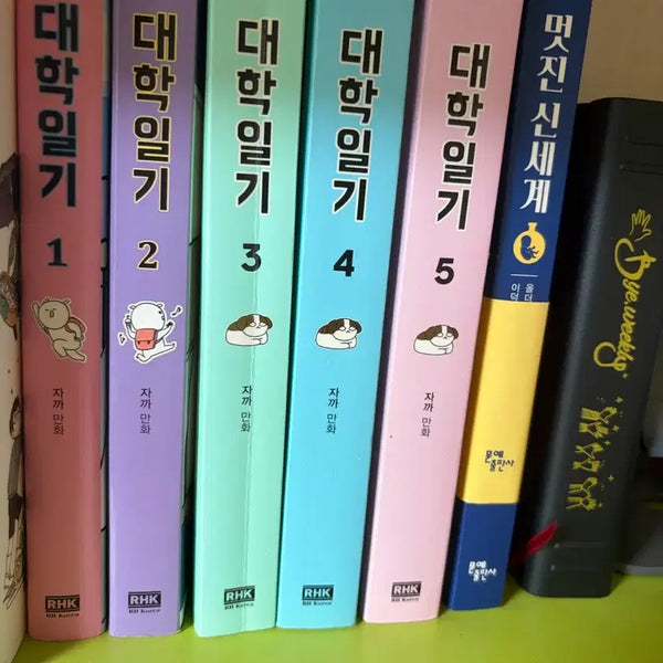 [BUNJANG] University Days Collection Volume 1-5 / 대학일기 단행본 1~5권