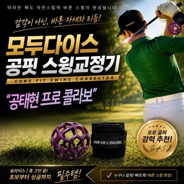 [BUNJANG] ModaDice Gongfit Golf Swing Trainer (Gong Tae-hyun Pro Collaboration) / (공태현프로 콜라보) 모두다이스 골프연습도구 공핏 골프스윙연습기 비...
