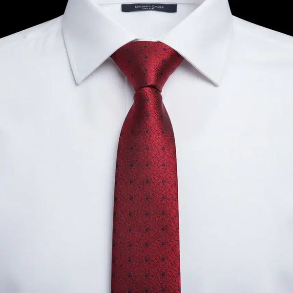 [BUNJANG] Franco Ferraro Polka Dot Silk Necktie / 프랑코페라로 도트패턴 실크 넥타이