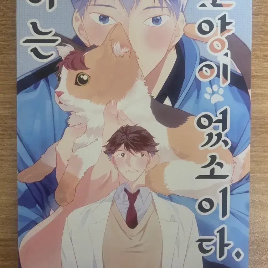 [BUNJANG] Haikyuu!! Kagehina Fanbook / 하이큐 카게오이 회지