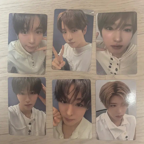 [BUNJANG] NCT WISH Ode to Love Music Art POB Photocard Set / 엔시티위시 Ode to Love 뮤직아트 미공개 포토카드 세트