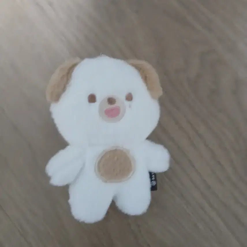 [BUNJANG] Day6 DEnimals Petitmals Don / 데이식스 데니멀즈 쁘띠멀즈 돈