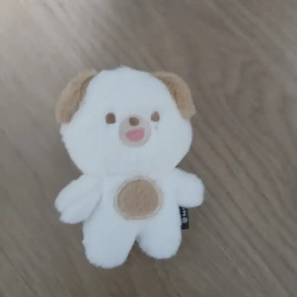 [BUNJANG] Day6 DEnimals Petitmals Don / 데이식스 데니멀즈 쁘띠멀즈 돈