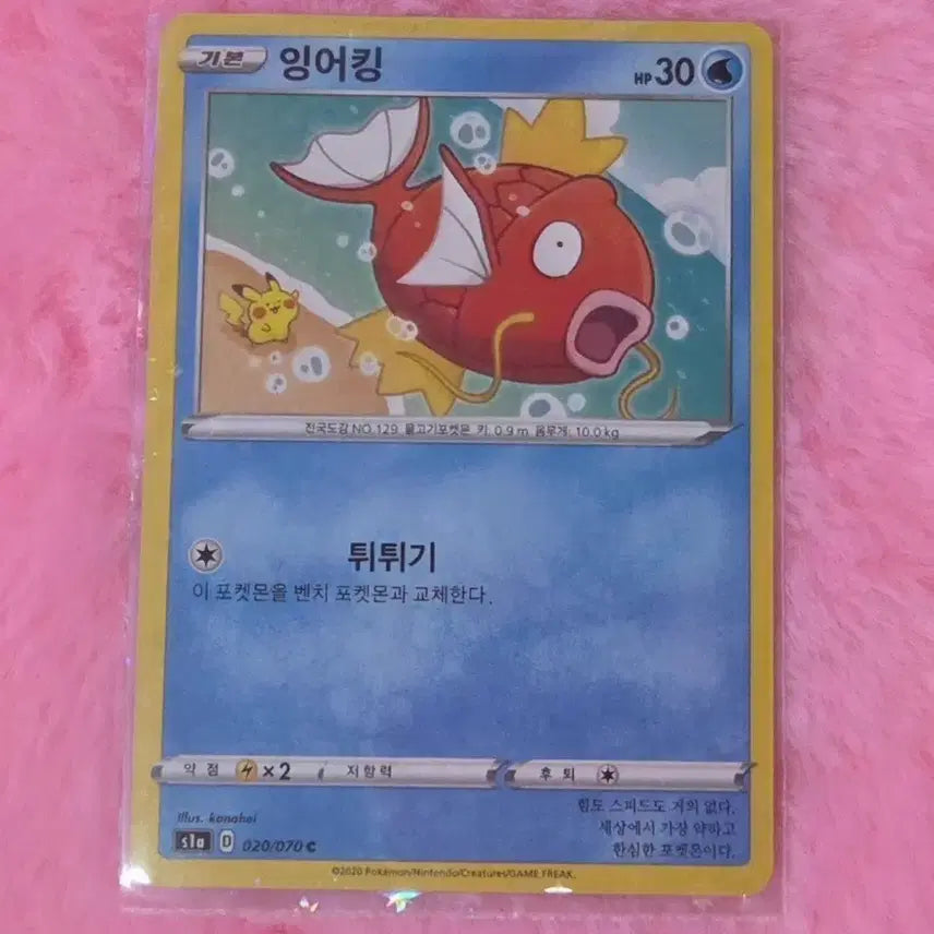 [BUNJANG] Magikarp Pokemon Card / 잉어킹 카드 팝니다