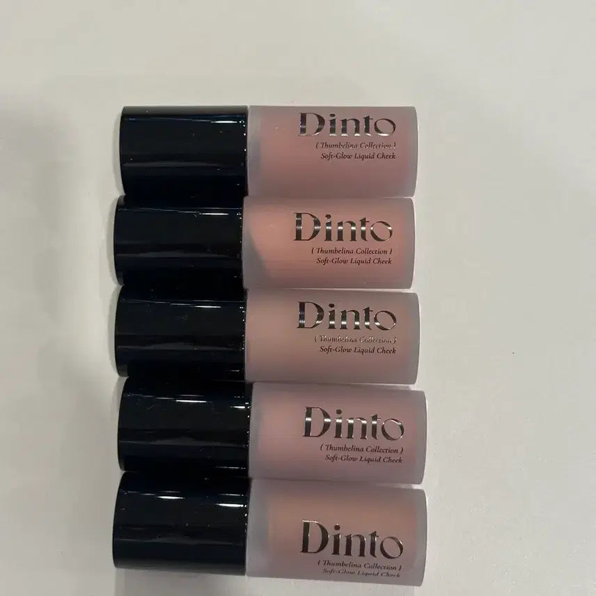 [BUNJANG] Dinto Soft Glow Liquid Cheek (205 Justitia) / 딘토 소프트 글로우 리퀴드 치크 205 유스티티아