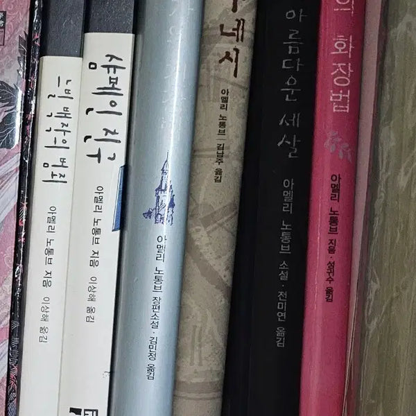 [BUNJANG] Amélie Nothomb Novel Collection / 아멜리 노통브 소설 모음