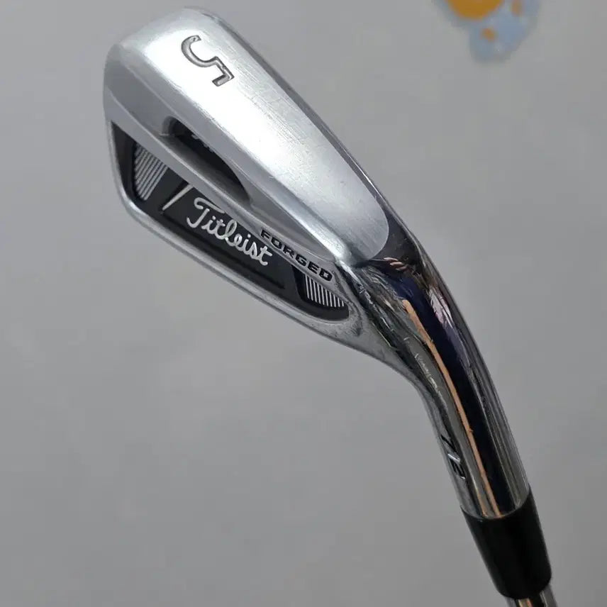 [BUNJANG] Titleist AP2 5-Iron True Temper Dynamic Gold S200 / 타이틀리스트 AP2 5번 아이언