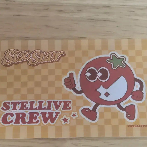 [BUNJANG] Stellive Membership Card Sticker / 스텔라이브 멤버십 카드 스티커
