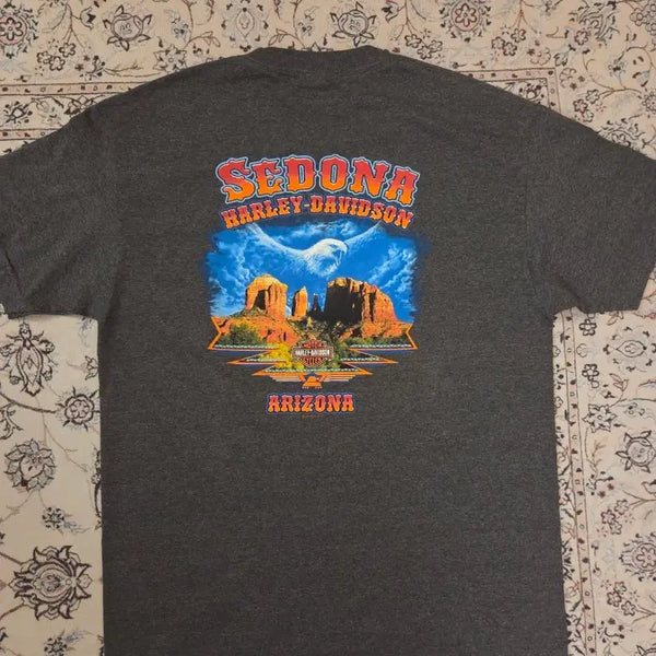 [BUNJANG] Harley-Davidson Loopwheel Arizona Sedona Short Sleeve T-Shirt / 할리데이비슨 정품 루프휠 반팔티 애리조나세도나 L 103-105