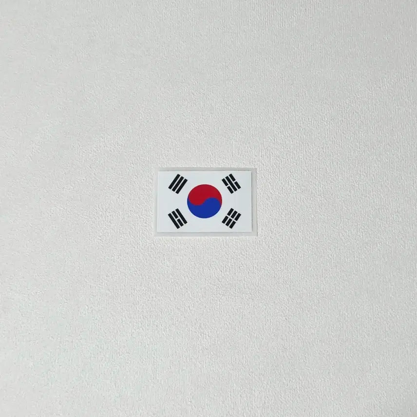 [BUNJANG] South Korea National Team Sleeve Taegeukgi Patch / 대한민국 국가대표 소매 태극기 패치 자컷