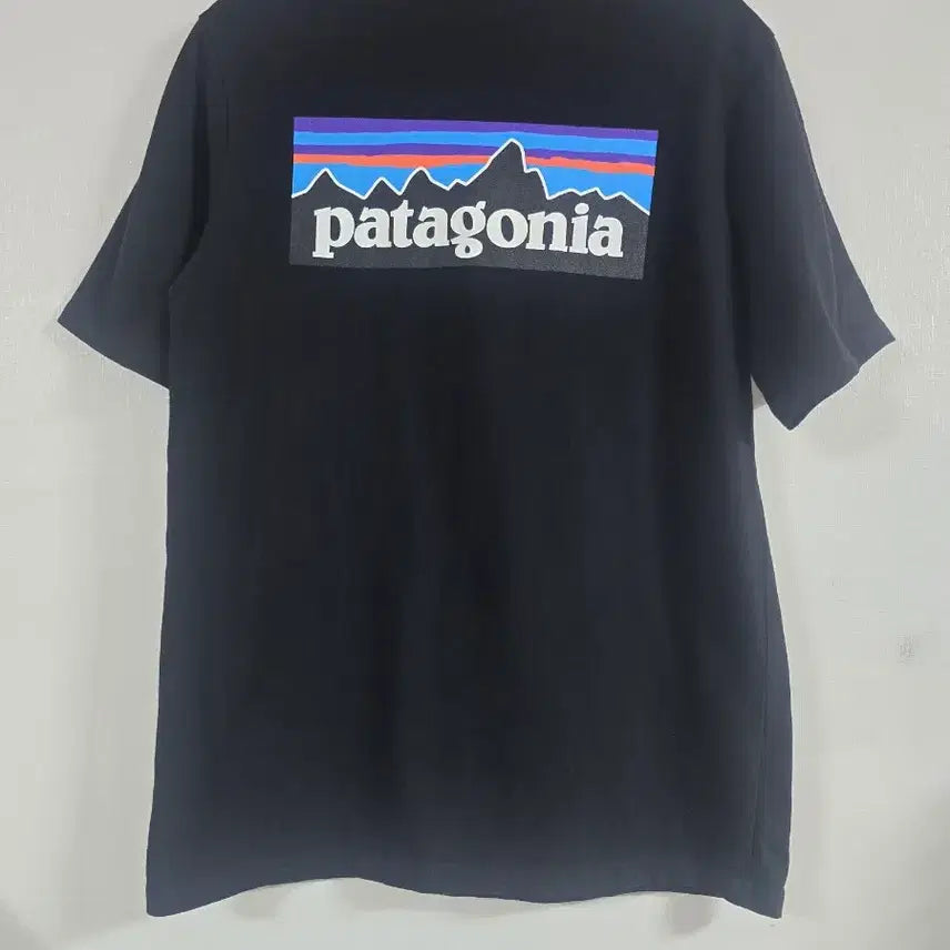 [BUNJANG] Patagonia Black T-Shirt (M) / 파타고니아 블랙 반팔티예요M