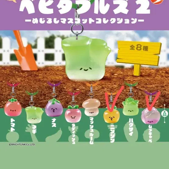 [BUNJANG] Vegetable Brand Red Cabbage & Carrot Bundle / 야채 메지루시 적양배추&당근 일괄
