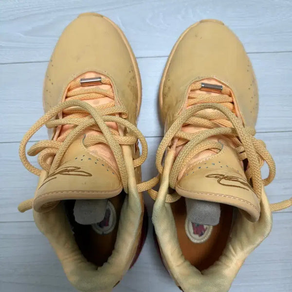 [BUNJANG] Nike LeBron 21 Basketball Shoes (255) / 르브론21 농구화(255)