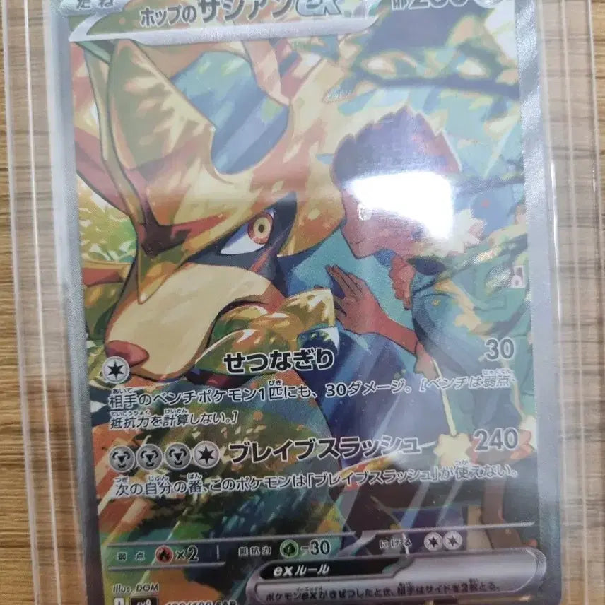 [BUNJANG] Pokémon Card Japanese Hope's Zacian EX SAR / [등급용] 포켓몬 카드 일판 호프의 자시안 EX SAR