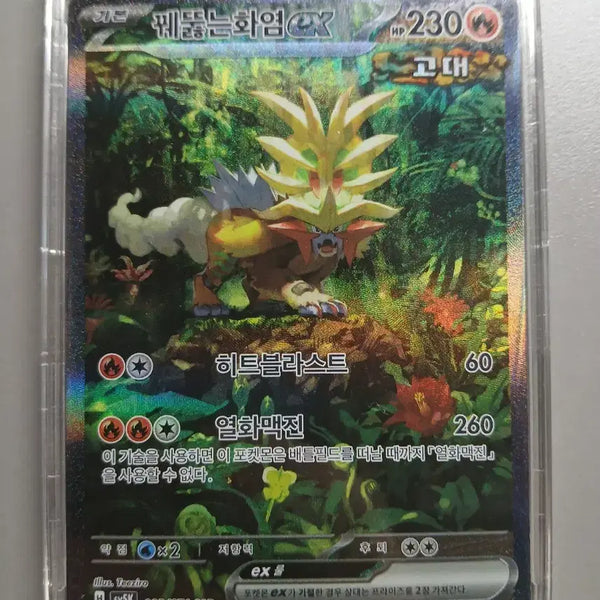 [BUNJANG] Pokemon Card Blazing Flame EX SAR / 포켓몬카드 꿰뚫는화염 EX SAR 와일드포스 수록