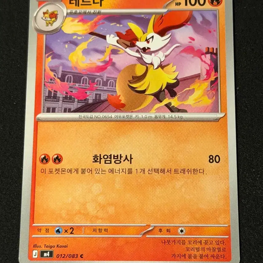 [BUNJANG] Pokemon Terna Card / 포켓몬카드 테르나