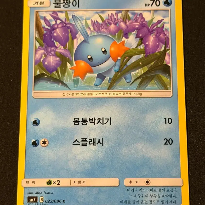 [BUNJANG] Classic Pokemon Card Mudkip / 고전 포켓몬 카드 물짱이