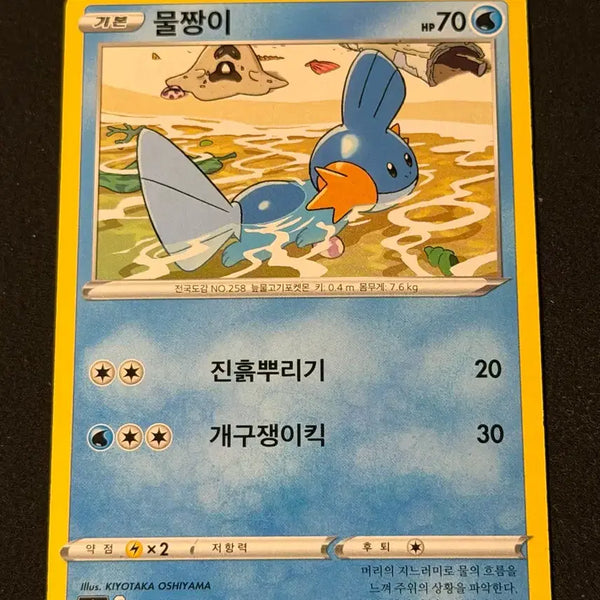 [BUNJANG] Vintage Pokemon Card Mudkip / 고전 포켓몬 카드 물짱이