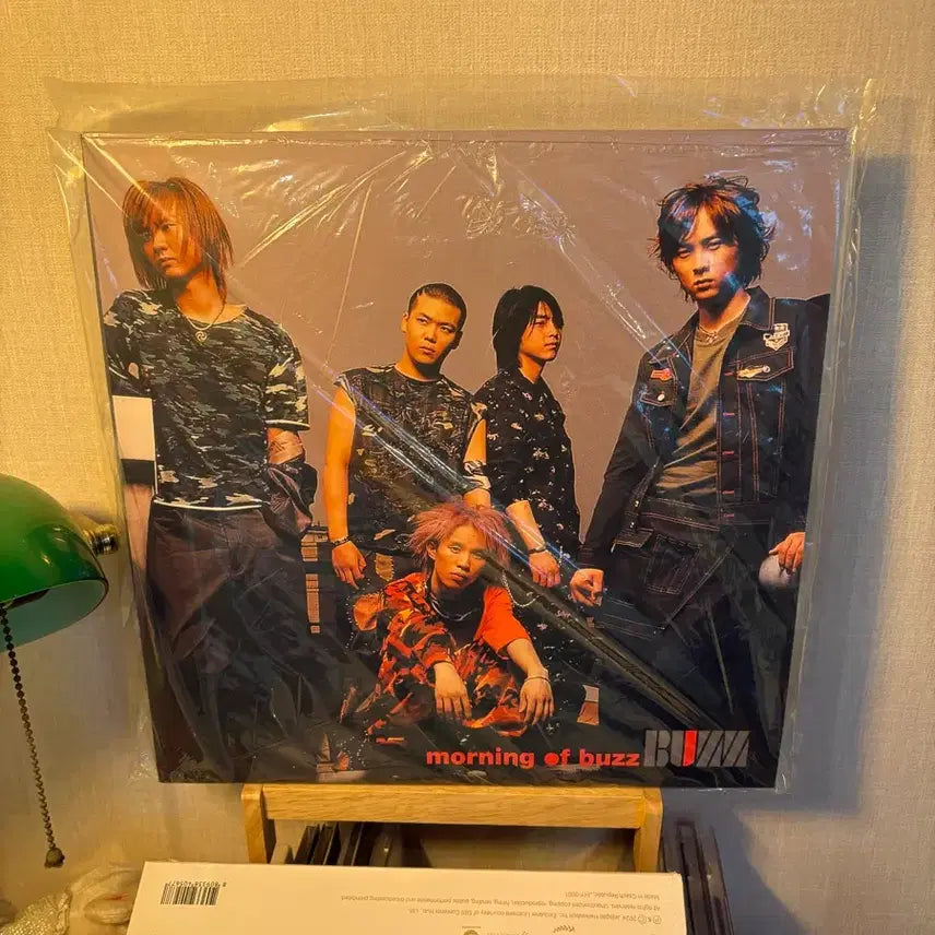 [BUNJANG] Buzz Official Albums Vol. 1 & 3 LP (Unsealed) / Buzz 정규1집,3집 LP 단순개봉