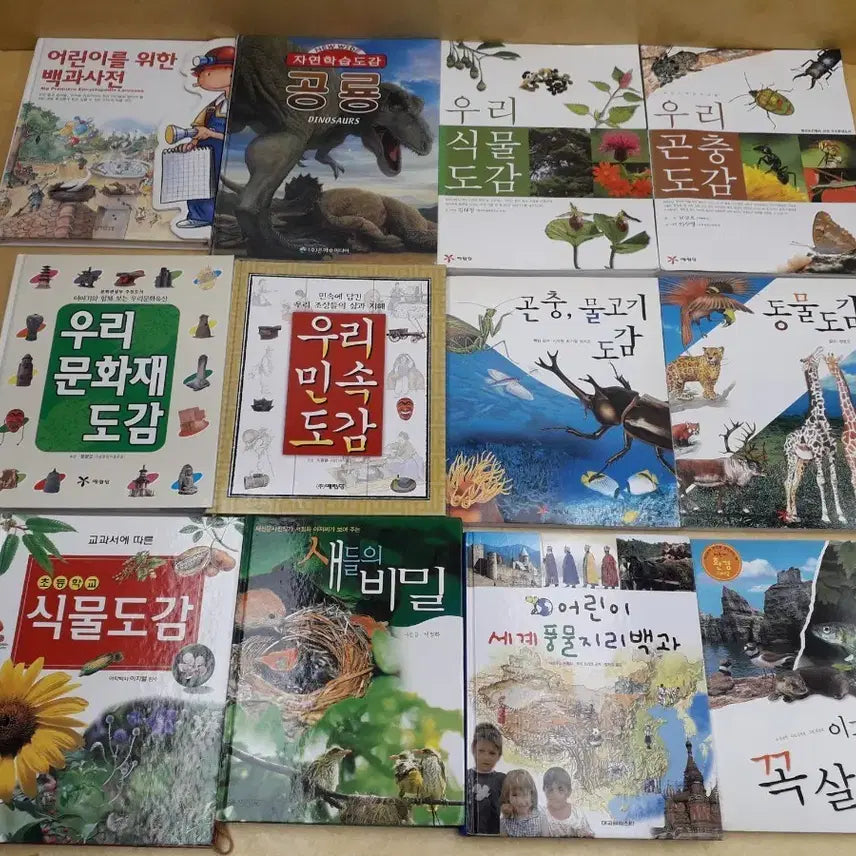 [BUNJANG] Various Publishers (Yerimdang) Encyclopedia and Illustration Book Series Collection / 여러출판사(예림당) 백과, 도감 모음 시리즈