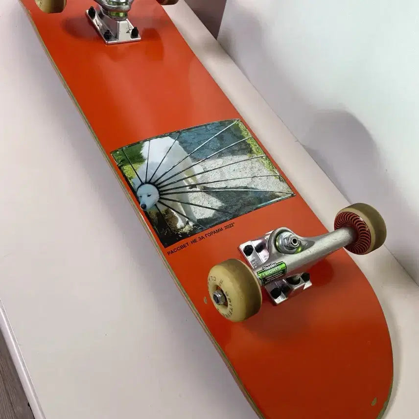 [BUNJANG] PACCBET 8.25" Custom Skateboard Deck / 전문보드샵 8.25인치 풀커스텀 스케이트보드