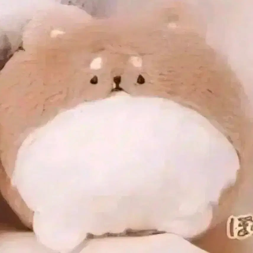 [BUNJANG] Pomeranian Plush Keychain Gacha / 포메라니안 인형 키링 가챠