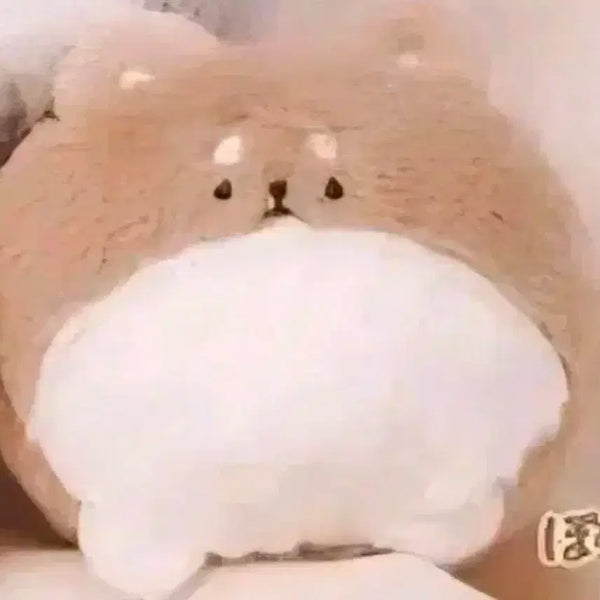 [BUNJANG] Pomeranian Plush Keychain Gacha / 포메라니안 인형 키링 가챠