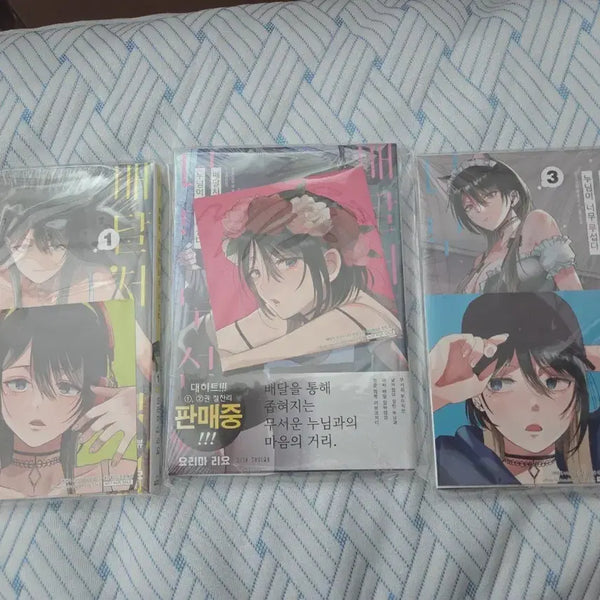 [BUNJANG] Delivery Mom Is Too Scary Manga Set (Volumes 1-3) / 배달처 누님이 너무 무섭다 만화책 팝니다