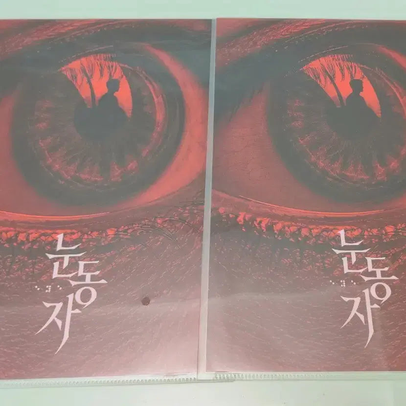 [BUNJANG] Eye of the Pupil Movie Teaser Poster / 영화 <눈동자> 티저 포스터