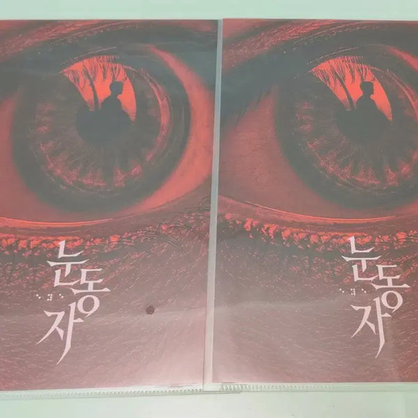 [BUNJANG] Eye of the Pupil Movie Teaser Poster / 영화 <눈동자> 티저 포스터