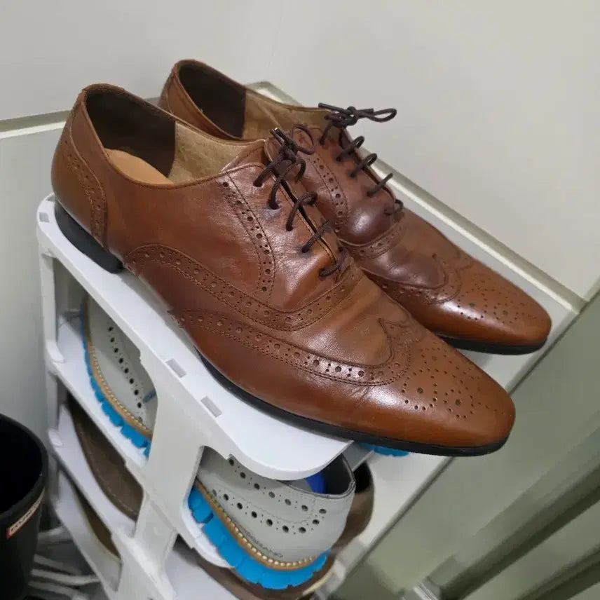 [BUNJANG] MisoPa Wingtip Shoes Brown / 미소페 윙팁 구두 브라운