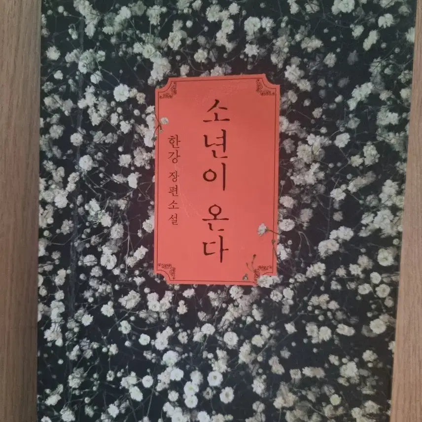 [BUNJANG] Sonyeon-i Onda (A Novel) / 소년이 온다