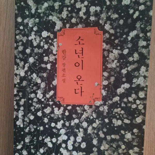 [BUNJANG] Sonyeon-i Onda (A Novel) / 소년이 온다