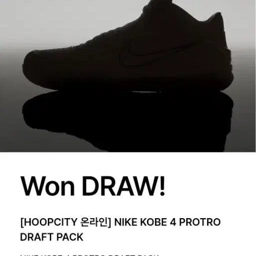 [BUNJANG] Nike Kobe 4 Protro Draft Pack / 나이키 코비 4 프로트로 드래프트팩