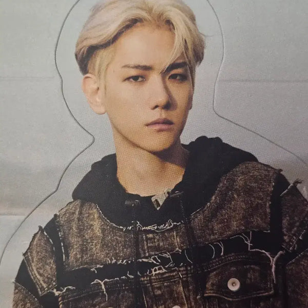 [BUNJANG] Baekhyun Goods Bundle Set / 백현 BAEKHYUN 굿즈